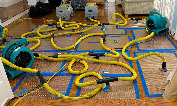 Professional Sewage Cleanup technician working in Walhonding, OH